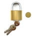 Keyed Alike Brass Padlock 50mm - RhinoSite Store