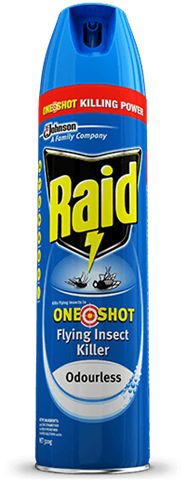 Raid Insect Spray 350g - RhinoSite Store